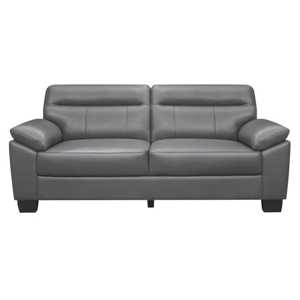 Denizen Sofa in Dark Gray 9537DGY-3 image